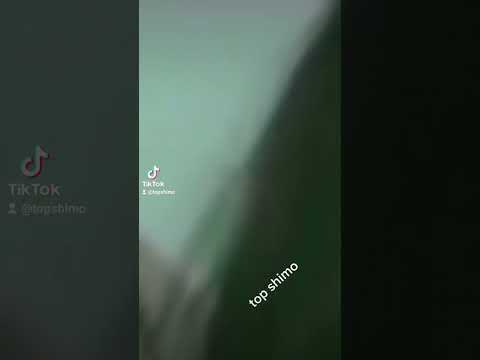 أنت أجمل حاجة حصلتلي في حياتي عيشتها