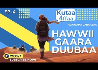 Hawwii Gaara Duubaa Kutaa 4ffaa Asoosama Gabaabaa Barressaaf Seeneesaan Ayyalaa Ejeree