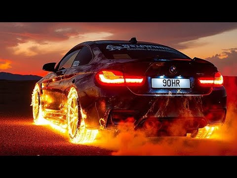 وين الخيل تشد الحيل ريمكس حصري REMIX LION NG