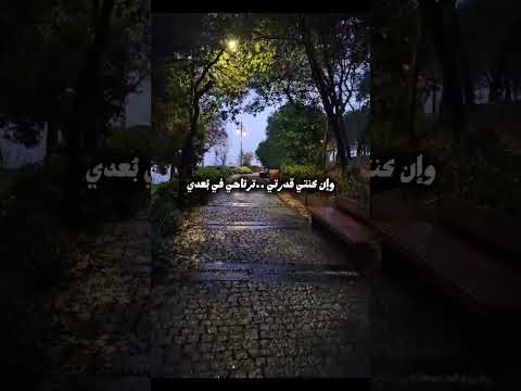 عايشة من بعدي مرتاحة في ب عدي ولا محصلش بدون موسيقى اكسبلور