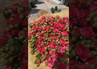 Music Rek Voiceeffects Xamdam Sobirov Jamshid Toshkent