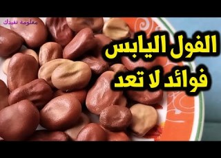17 فائدة فى الفول اليابس وفوائدة للانيميا الفول اليابس فوائد كثيرة حقا