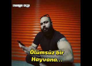  Patron VS Hayki
