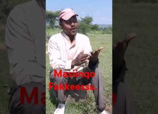 Sagalee Masiinqo Fakkeessu