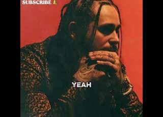  Post Malone Hard To Let Go Official Music Lyrics