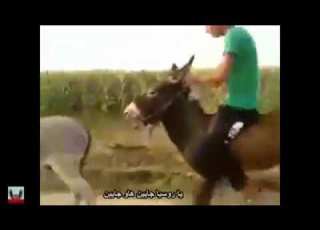 يا روسيا هاو جايين هاو جايين