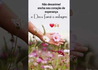  25 De Outubro De 2025