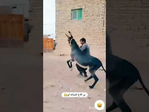 الاغ جفت زن