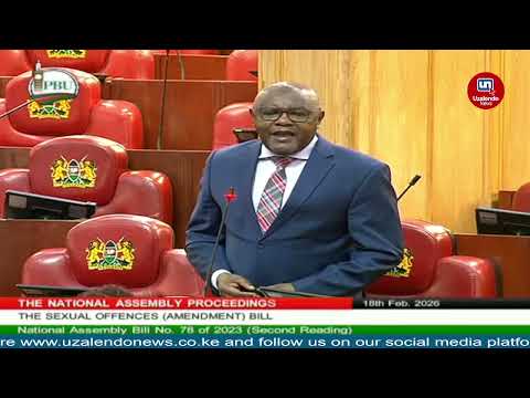 Mwingi North MP Paul Nzengu Submission On Sexual Offences Amendment Bill