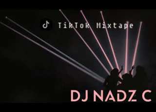  DJ NadzC TikTok Mixtape 2024