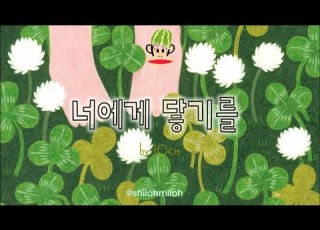 10cm 너에게 닿기를 가사有