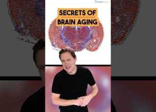 Secrets Of Brain Aging