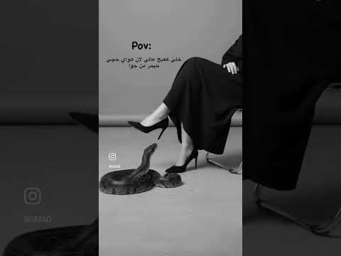 البير بير بي دمايه وحافظه دروب الحيايه العلم تصميمي لايك حالات واتس الظروف اغاني ورك