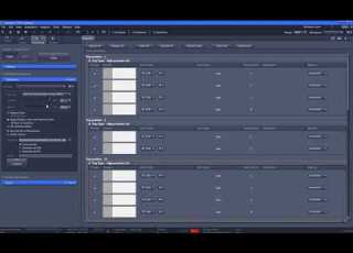 Zeiss ZEN Converting Czi To BigTIFF