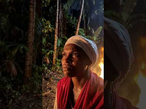 The Woman Who United Enslaved Africans In 1791 Cécile Fatiman And The Fight For Freedom