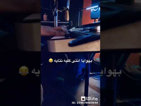 انتي كلبة نتاية