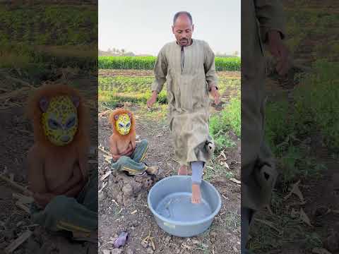 ياليلي ياليلا