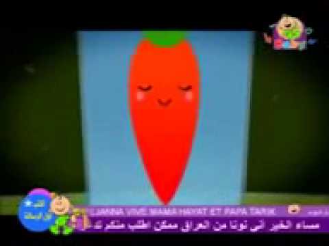 Toyor Al Janah Toyor Baby Ana Jazara أنا الجزرة طيور الجنة بيبي Toyor Al Janah Toyor Baby Ana Jazara أنا الجزرة طيور الجنة بيبي