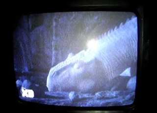  Dinosaurio La Pelea En La Cueva