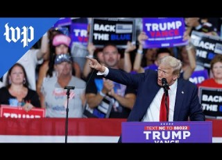  Trump Kamala You Re Fired