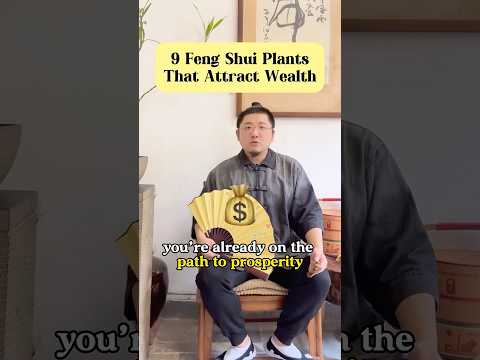9 Feng Shui Plants That Attract Money Fengshui Lucky Energy Money Wealth Nature Garden Home