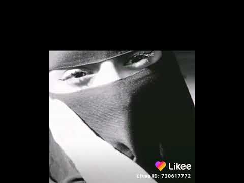 شيله شفتها ياسعود صدفه بعد ما مرت سنين