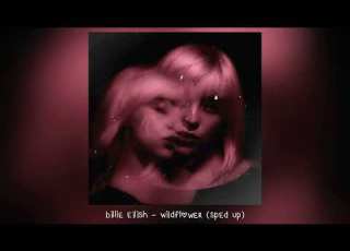 Billie Eilish Wildflower 𝒔𝒑𝒆𝒅 𝒖𝒑