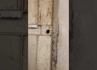  بيت شعبي