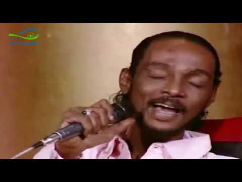 محمود عبد العزيز مجموعة من الاغاني الجميلة دوزنات بالعود محمود عبد العزيز مجموعة من الاغاني الجميلة دوزنات بالعود