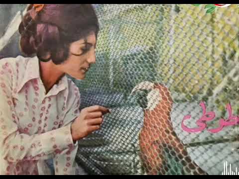 بانو پروا ترانه ی اصلی طوطی جون