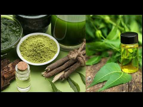 NGUVU YA MMEA WA MWAROBAINI KATIKA TIBA NA LISHE NGUVU YA MMEA WA MWAROBAINI KATIKA TIBA NA LISHE