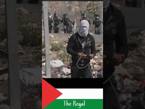 فلسطين اكسبلور Palestine ترند