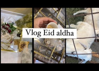  فلوق عيد الاضحى سفرتنا للديرة
