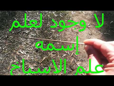 الاسياخ النحاسية ماهي إلا أدوات في علم القنقنة و الاستشعار و العلاج الطاقي عن بعد