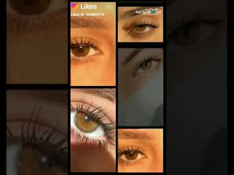 يقال عن أصحاب العيون العسليه أكثر وفاء من غيرهم أخبروهم بدلك يقال عن أصحاب العيون العسليه أكثر وفاء من غيرهم أخبروهم بدلك