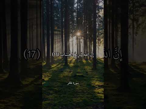 ال ي و م ت ج ز ى ك ل ن ف س ب م ا ك س ب ت سورة غافر محمد أيوب