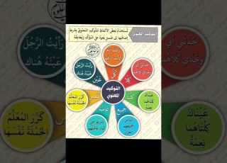  التوكيد المعنوي التوكيد النحو الواضح النحو والصرف علمني تريند تريكات كبسولات نحو
