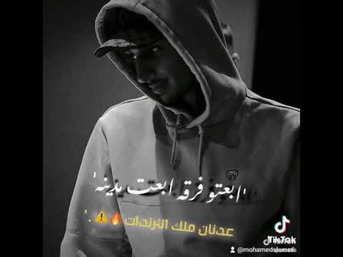 مجدي الزهار المرشدين عاملين كامين