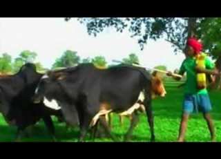  Tsegaye Aderajew ፀጋየ አደራጀዉ ያበቀለሺ መሬት Ethiopian Traditional Music Blen ብሌን Yutube Like Sebscriab