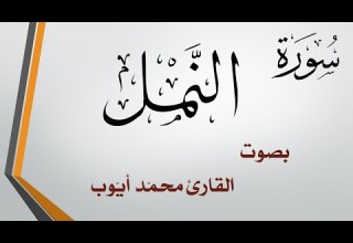 027 سورة النمل محمد أيوب