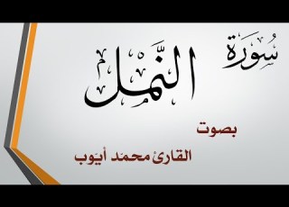 027 سورة النمل محمد أيوب