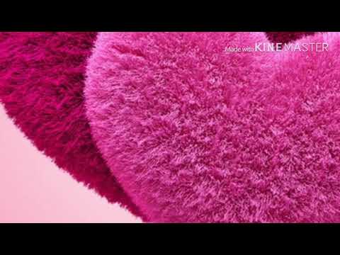 تلاوة عطرة للقارئ المثنى أبو طعيمة من قيام ليلة ٢ رمضان ١٤٤٠هـ تلاوة عطرة للقارئ المثنى أبو طعيمة من قيام ليلة ٢ رمضان ١٤٤٠هـ