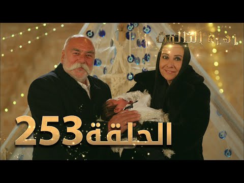 مسلسل زهرة الثالوث الحلقة 253 مدبلج الموسم الثاني مسلسل زهرة الثالوث الحلقة 253 مدبلج الموسم الثاني