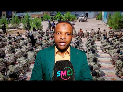 DEES GESCHICHTE 10169