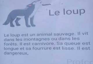 Production écrite Le Loup