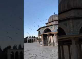 ألعيش كم يحلو هناك المسجد الاقصى ألقدس عاصمة فلسطين ستوريات انستغرام حالات واتس اب