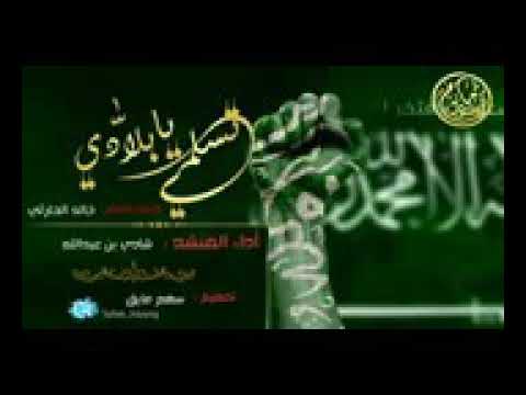 شيلة تسلمي يا بلادي