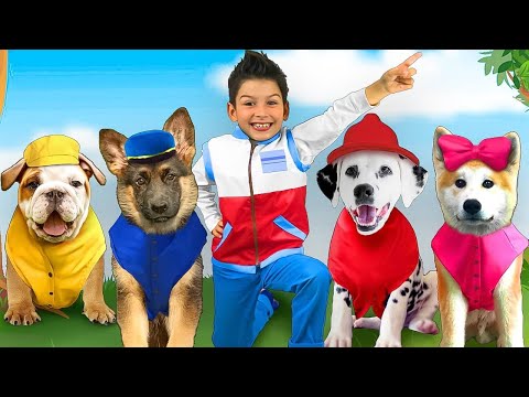 Max And Doggies Helps Sasha Save Toys