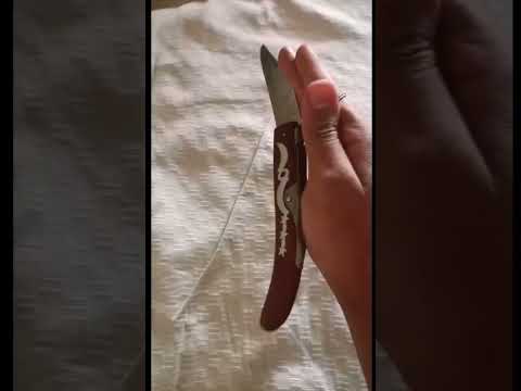 حصريا فنون فك و تركيب القرن غزال مطوه اوكابي Shorts