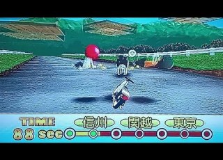  Wii東京フレンドパーク デリソバゴールド